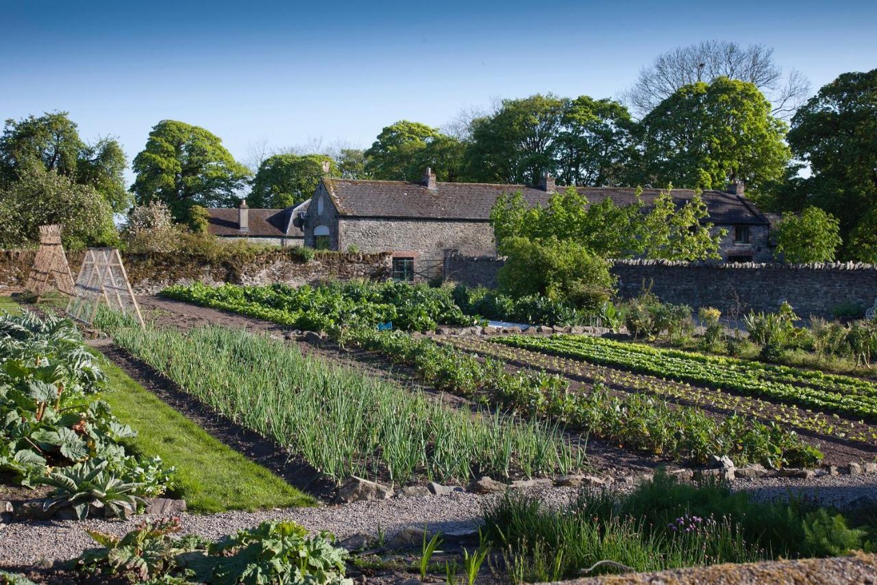 The Stable Yard House At Burtown House & Gardens Villa Athy Kültér fotó